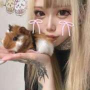 ヒメ日記 2026/03/06 17:51 投稿 かな buzz-B