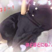 ヒメ日記 2025/05/14 08:22 投稿 さくら(新人割6/2まで) NEO不夜城