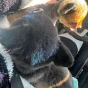 ヒメ日記 2025/05/24 12:34 投稿 結衣(ゆい) チューリップ宇都宮店