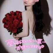 ヒメ日記 2025/11/21 19:59 投稿 結衣(ゆい) チューリップ宇都宮店