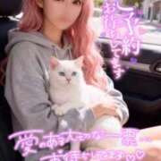 ヒメ日記 2025/11/24 02:39 投稿 結衣(ゆい) チューリップ宇都宮店