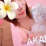 ヒメ日記 2025/10/07 12:17 投稿 明梨(あかり) チューリップ宇都宮店