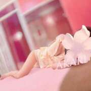 ヒメ日記 2026/01/14 06:49 投稿 明梨(あかり) チューリップ宇都宮店