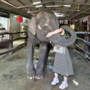 ヒメ日記 2025/11/09 08:11 投稿 野苺うさ 罪なエステ 品川