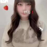 ヒメ日記 2025/11/09 21:01 投稿 野苺うさ 罪なエステ 品川