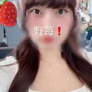 ヒメ日記 2025/11/10 13:11 投稿 野苺うさ 罪なエステ 品川