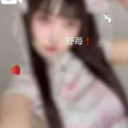 ヒメ日記 2025/11/13 08:11 投稿 野苺うさ 罪なエステ 品川