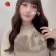 ヒメ日記 2025/11/13 13:11 投稿 野苺うさ 罪なエステ 品川