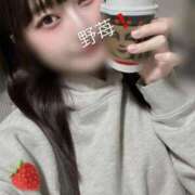 ヒメ日記 2025/11/15 18:02 投稿 野苺うさ 罪なエステ 品川