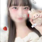 ヒメ日記 2025/11/17 13:01 投稿 野苺うさ 罪なエステ 品川