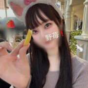 ヒメ日記 2025/11/19 18:02 投稿 野苺うさ 罪なエステ 品川