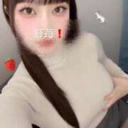 ヒメ日記 2025/11/23 18:11 投稿 野苺うさ 罪なエステ 品川