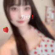 ヒメ日記 2025/11/24 13:02 投稿 野苺うさ 罪なエステ 品川