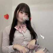 ヒメ日記 2025/11/25 13:11 投稿 野苺うさ 罪なエステ 品川