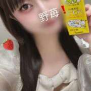 ヒメ日記 2025/11/28 13:02 投稿 野苺うさ 罪なエステ 品川