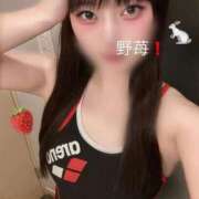 ヒメ日記 2025/11/29 22:01 投稿 野苺うさ 罪なエステ 品川