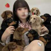 ヒメ日記 2025/12/01 08:11 投稿 野苺うさ 罪なエステ 品川