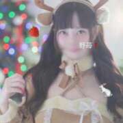 ヒメ日記 2025/12/05 08:11 投稿 野苺うさ 罪なエステ 品川