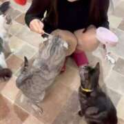 ヒメ日記 2025/12/09 08:01 投稿 野苺うさ 罪なエステ 品川