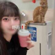 ヒメ日記 2025/12/10 13:01 投稿 野苺うさ 罪なエステ 品川