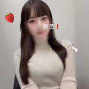 ヒメ日記 2025/12/11 18:02 投稿 野苺うさ 罪なエステ 品川