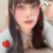 ヒメ日記 2026/01/08 08:01 投稿 野苺うさ 罪なエステ 品川