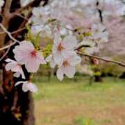 ヒメ日記 2026/04/03 14:21 投稿 綺月みな 罪なエステ 品川