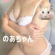 ヒメ日記 2025/06/20 22:20 投稿 のあちゃん 男爵