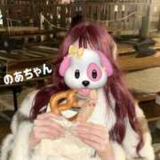 ヒメ日記 2025/12/23 12:56 投稿 のあちゃん 男爵