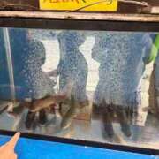 ヒメ日記 2025/08/29 09:30 投稿 えみこ 佐久上田人妻隊