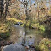 えみこ 【お礼写メ日記】秋のデート🍁 佐久上田人妻隊
