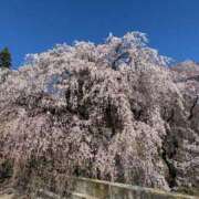 ヒメ日記 2026/04/09 07:01 投稿 えみこ 佐久上田人妻隊