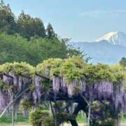 ヒメ日記 2026/04/19 09:24 投稿 えみこ 佐久上田人妻隊
