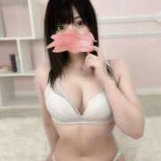 ヒメ日記 2025/05/17 17:23 投稿 シュナ 信州無限GP 総合受付 諏訪店