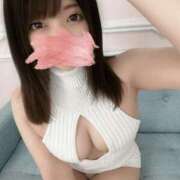 ヒメ日記 2025/10/17 10:30 投稿 シュナ 信州無限GP 総合受付 諏訪店