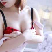 ヒメ日記 2025/11/17 22:38 投稿 ソル ワンダフル