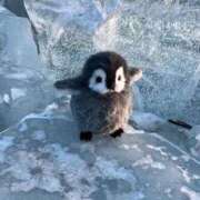 セイラ おひさしぶり……かも？ 横浜関内人妻城