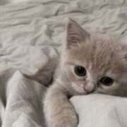 セイラ おはようございますᐡ ̳ʚ̴̶̷̆ ·̫ ʚ̴̶̷̆ ̳ᐡ 横浜関内人妻城