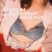 ヒメ日記 2025/06/06 09:53 投稿 みこと ハッピーハウス