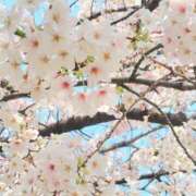 ヒメ日記 2026/03/30 12:17 投稿 福永（ふくなが） 丸妻 錦糸町店