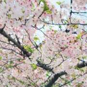 ヒメ日記 2026/04/06 15:32 投稿 福永（ふくなが） 丸妻 錦糸町店