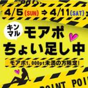 ヒメ日記 2026/04/09 10:04 投稿 福永（ふくなが） 丸妻 錦糸町店