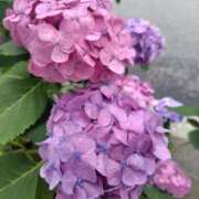 ヒメ日記 2026/06/09 09:06 投稿 福永（ふくなが） 丸妻 錦糸町店