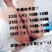 ヒメ日記 2025/07/21 11:01 投稿 上川 潤 30代40代50代と遊ぶなら博多人妻専科24時