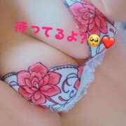 ヒメ日記 2025/11/16 01:10 投稿 上川 潤 30代40代50代と遊ぶなら博多人妻専科24時