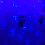 ヒメ日記 2025/11/24 11:23 投稿 上川 潤 30代40代50代と遊ぶなら博多人妻専科24時