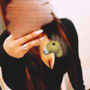 ヒメ日記 2026/01/02 10:52 投稿 上川 潤 30代40代50代と遊ぶなら博多人妻専科24時