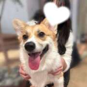 ヒメ日記 2026/02/21 17:20 投稿 ひめか 浜松ハンパじゃない学園