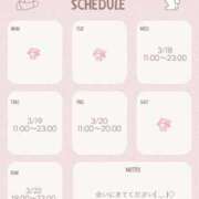 ヒメ日記 2026/03/13 22:14 投稿 かんな いざ候 別館