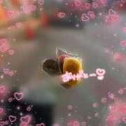 ヒメ日記 2026/03/14 21:44 投稿 かんな いざ候 別館